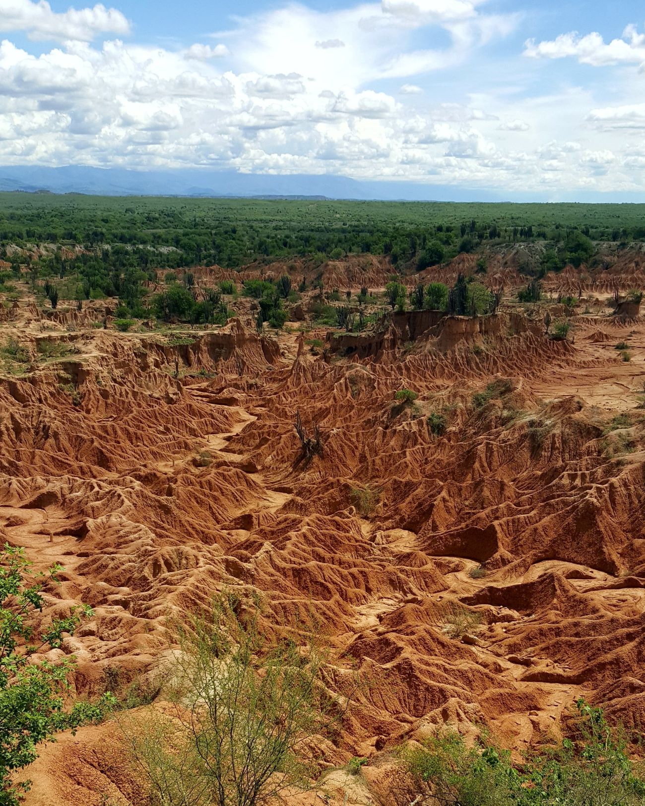 TATACOA DESERT