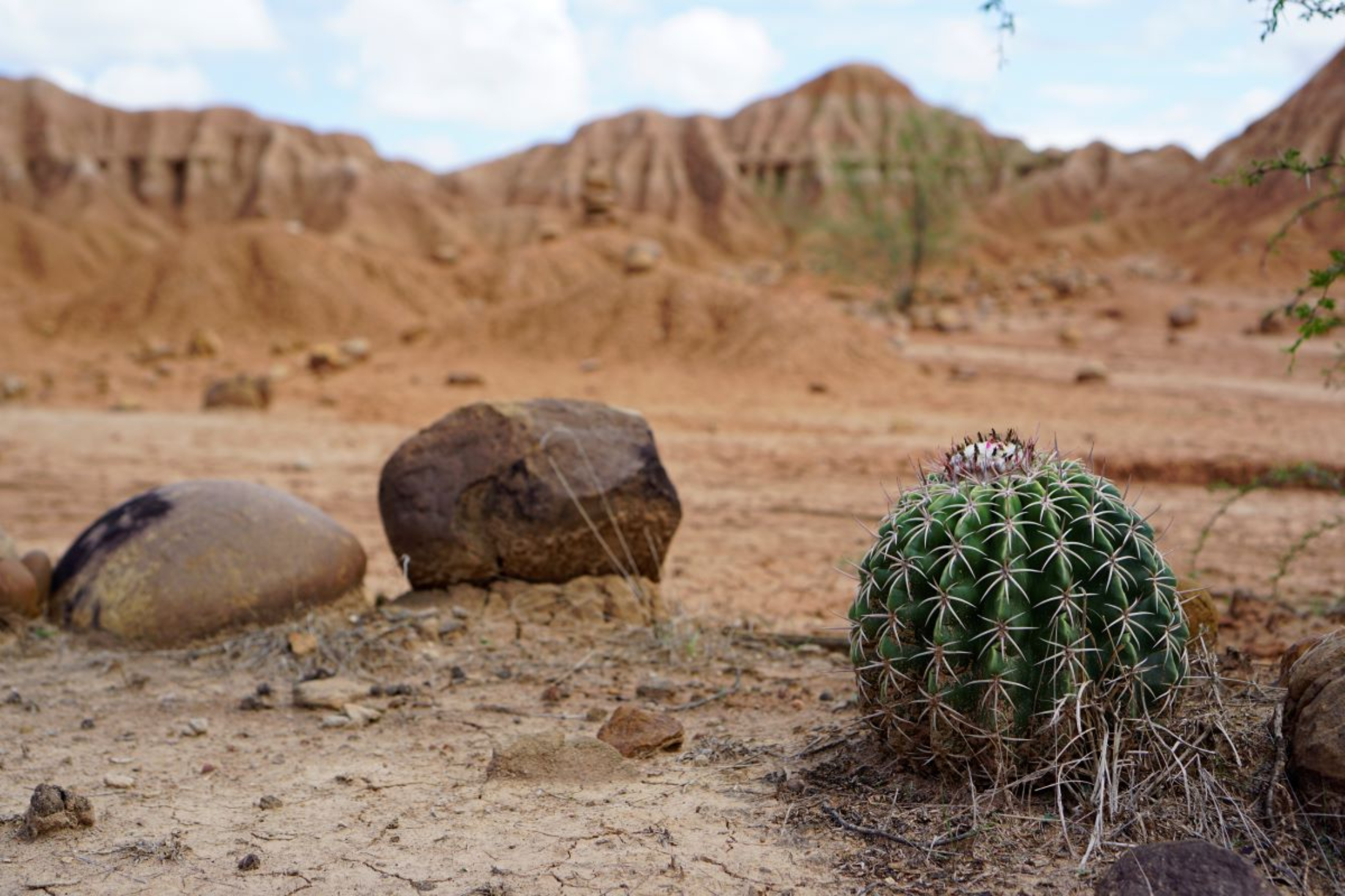 TATACOA WOESTIJN – OFTEWEL DESIERTO DE LA TATACOA