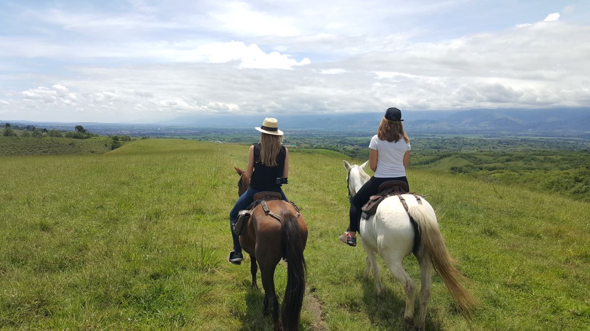 HORSEBACK RIDING AND CANOPY