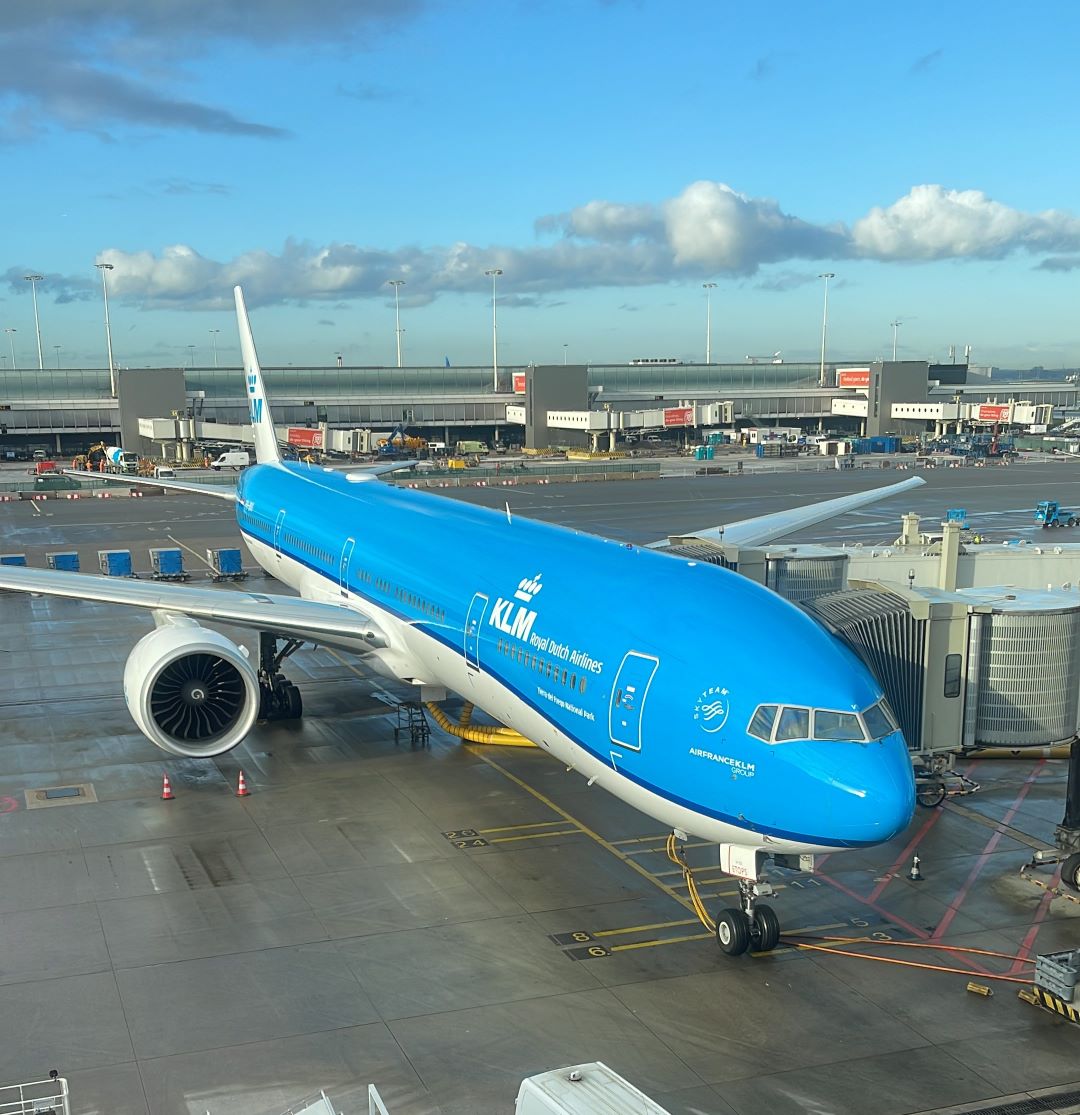 Fly Home