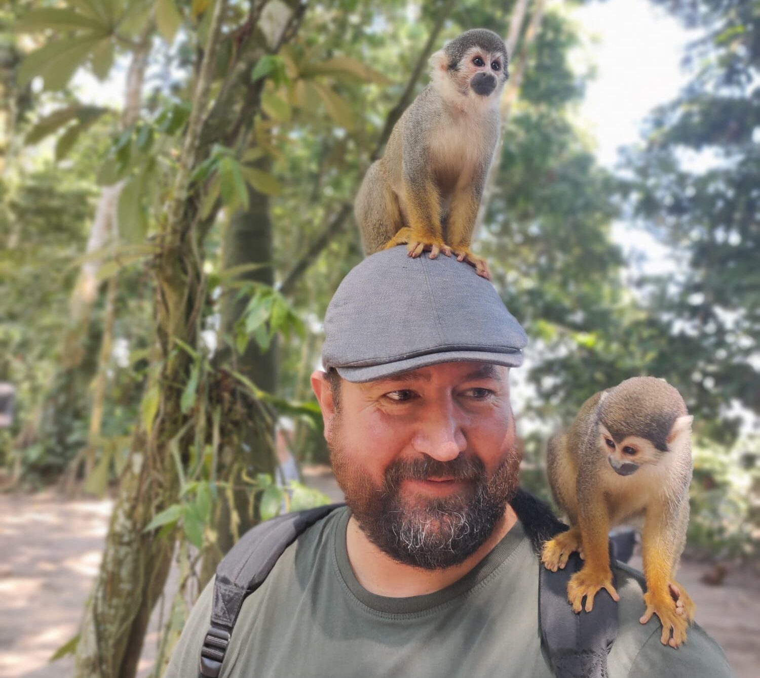 Amazone - Apen in Mocagua gemeenschap