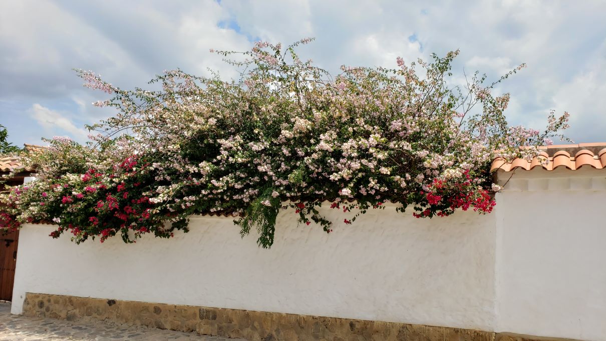 Villa de Leyva