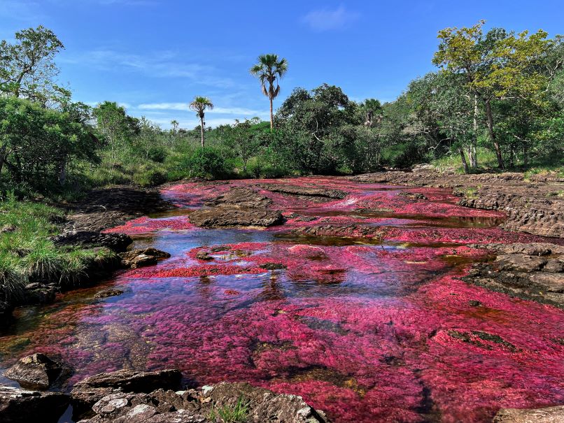 Guaviare - Rivier van kleuren en Orion Poort