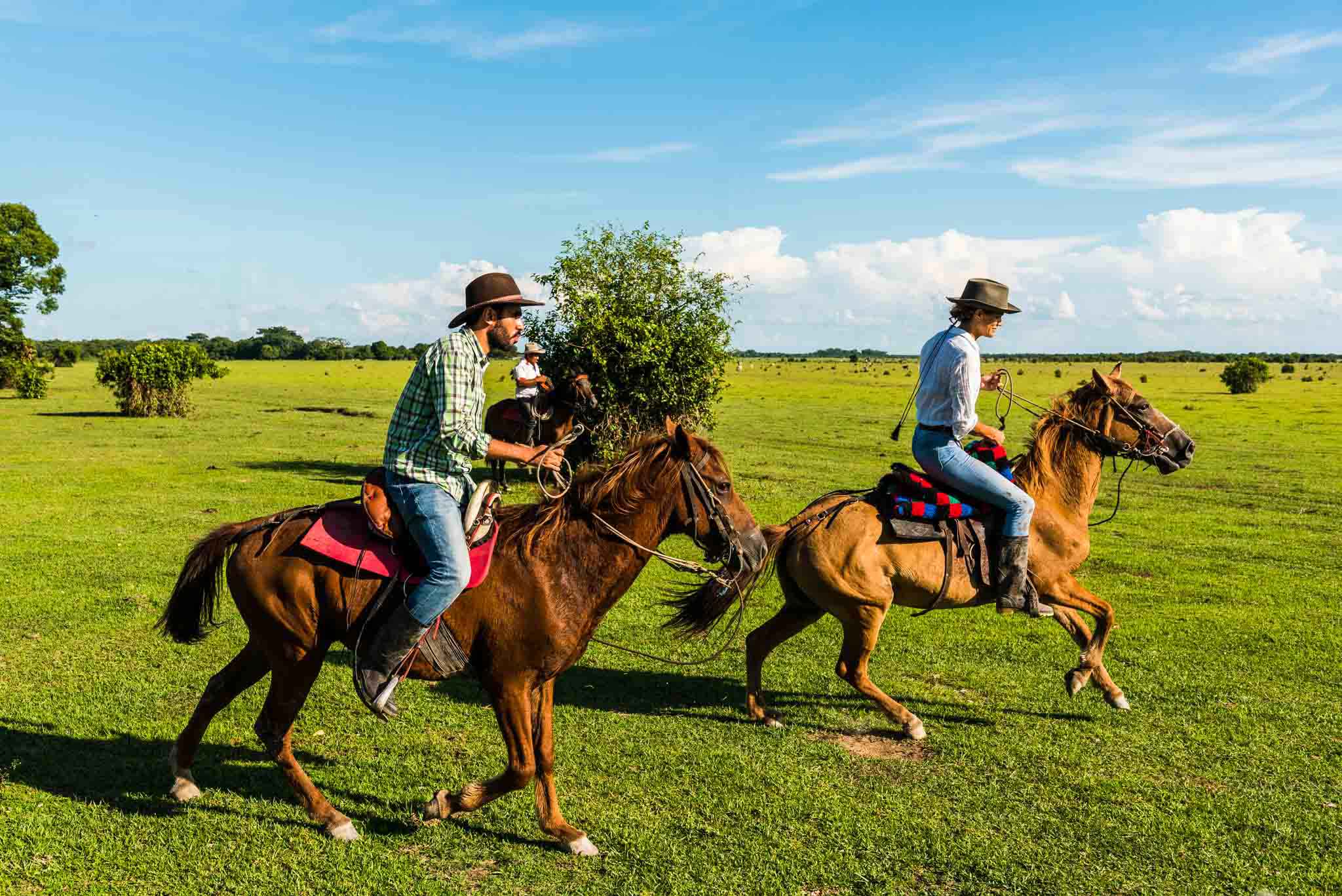 Naar Los Llanos